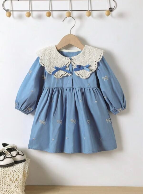 Elegant Lace Collar Embroidered Dress