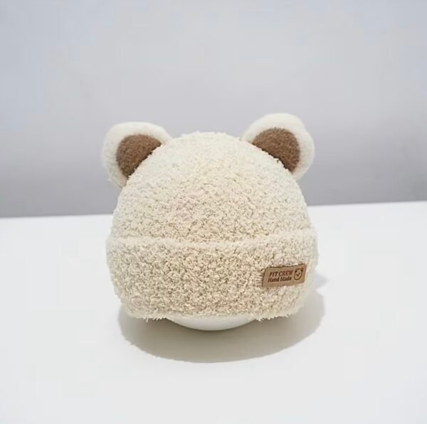 Bear Ear Knit Winter Beanie